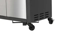 Barbecue A Gas Com 4 Bicos, 1 Fogao Lateral E 1 Assador 148X56X121 Cm - Roasty