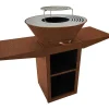 Barbecue Avec Plaque Ronde, Grill Et Support