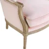 Cadeirão Em Veludo Rosa Pastel - Alienor