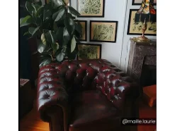 Cadeirão 100% Pele De Bufalo Castanho Com Reflexos Castanhos Estilo Chesterfield - Brenton