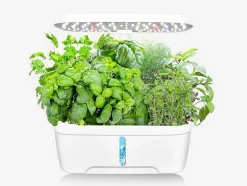 Canteiro De Interior Com Leds 6 Plantas, Altura Ajustavel, Branco - Gardenio