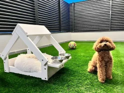 Casa Do Cao Branco - Cama Com Moldura Em Madeira Natural Fsc