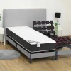 Colchão Articulado 80 X 200 Cm Molas Ensacadas E Memória De Forma - Parox Ii Da Dreamea