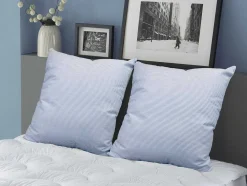 Conjunto De 2 Almofadas Dodo Naturais Firmes Com Penas 60 X 60 Cm - Meribel