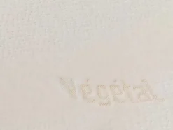 Conjunto De 2 Almofadas Ergonomicas Com Memória De Forma 60X60Cm - Dodo Vegetal