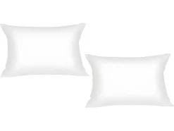 Conjunto De 2 Protetores De Almofadas Dodo Absorventes De 65X65 Cm - Ultra Conforto