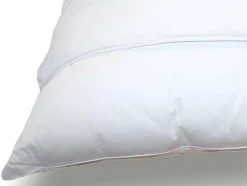 Conjunto De 2 Protetores De Almofada Dodo Absorventes De 60X60 Cm - Ultra Conforto