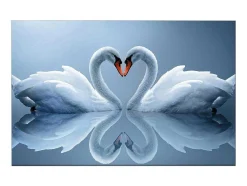 Impressao Em Tela Cisne, Multicolorido, 150X3X100 Cm, Epikasa