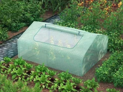 Mini Estufa De Jardim De 2,56 M Dimensoes C180 X L142 X A80 Cm - Gentiane