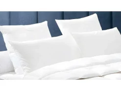 Pack Dodo Edredão Natural 240 X 260 Cm + 2 Almofadas De Penas Baffin 65 X 65 Cm
