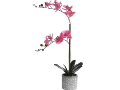 Planta Artificial Orquidea Com Vaso Em Cimento A.55 X L.30 Cm Cor-De-Rosa - Riosane