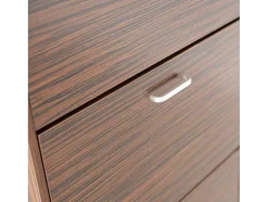 Wehome - Sapateira Com 3 Portas 63X115 Cm Em Madeira Zebrano